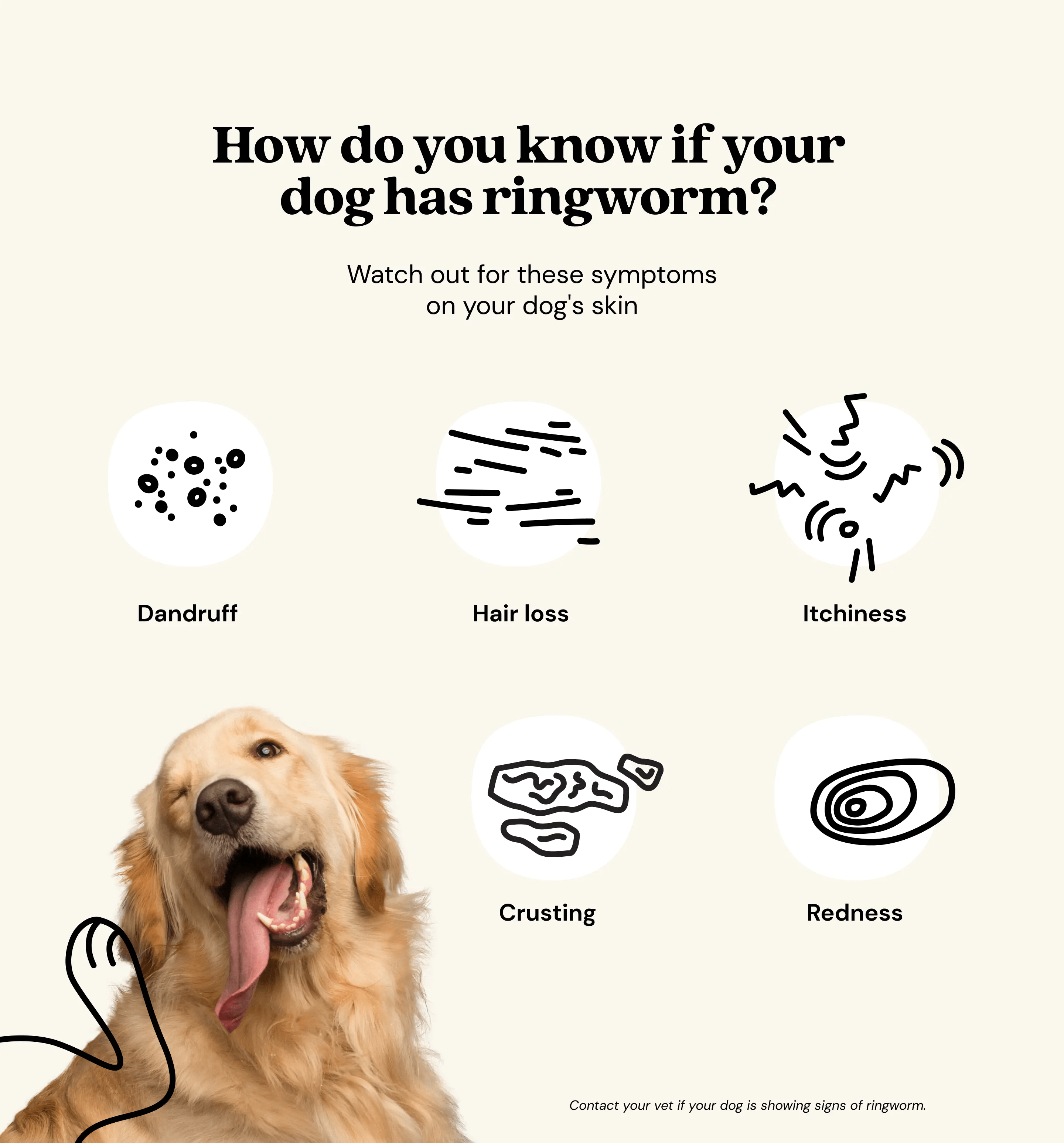 Ringworm in dogs early signs and treatment